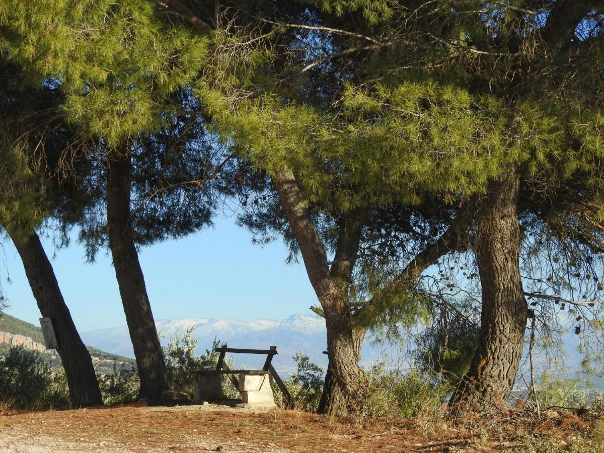 Cortijo La Fe ξενώνας Montefrio Εξωτερικό φωτογραφία