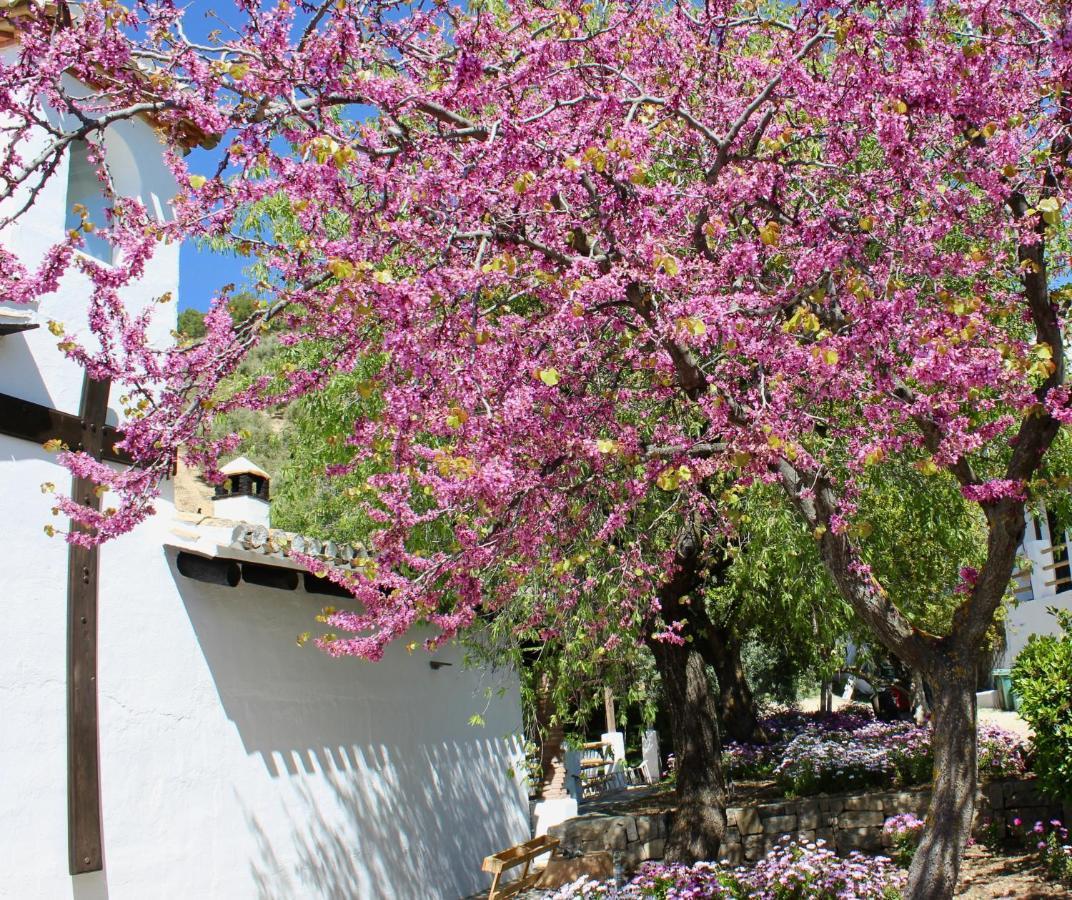 Cortijo La Fe ξενώνας Montefrio Εξωτερικό φωτογραφία