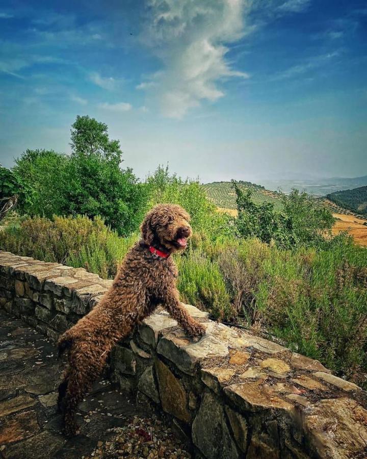 Cortijo La Fe ξενώνας Montefrio Εξωτερικό φωτογραφία