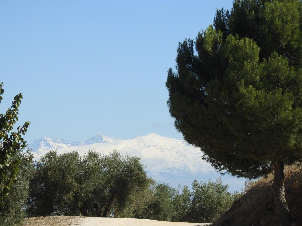 Cortijo La Fe ξενώνας Montefrio Εξωτερικό φωτογραφία