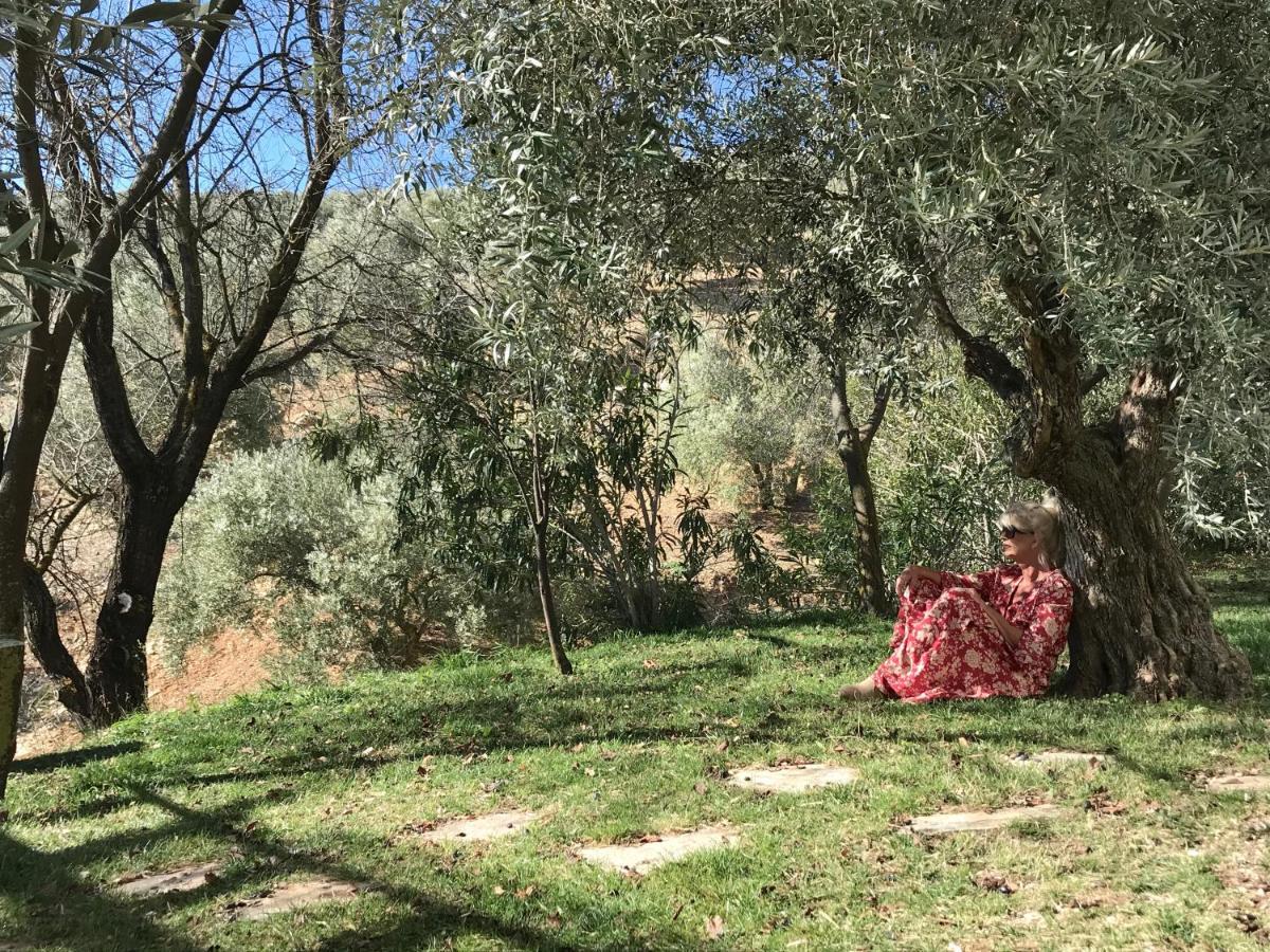 Cortijo La Fe ξενώνας Montefrio Εξωτερικό φωτογραφία