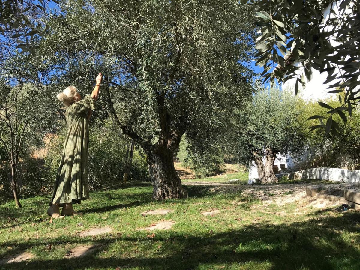 Cortijo La Fe ξενώνας Montefrio Εξωτερικό φωτογραφία